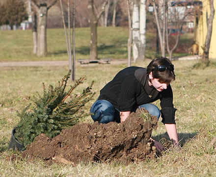 I planted a tree