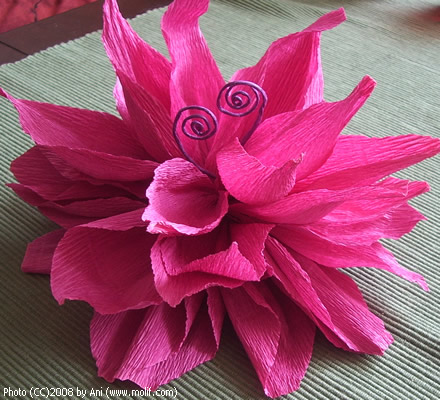 Peony, almost real