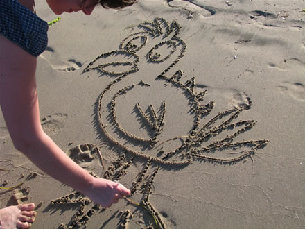 Drawing a bird on the sand