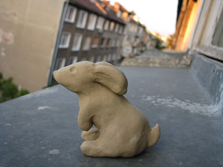 Hesitating rabbit