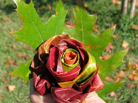 Leaf rose