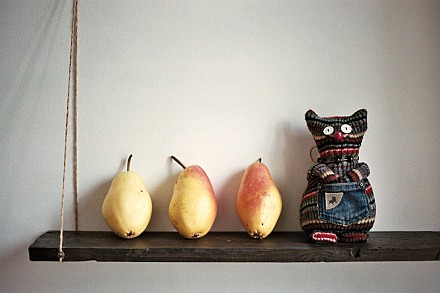 Alfonce-the-cat-with-pears