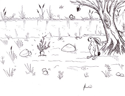 Some picture of a rabbit