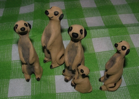 The meerkats