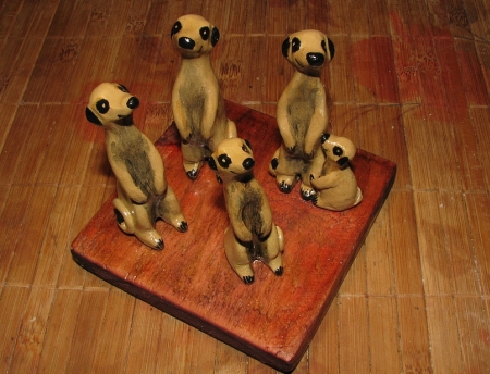 The meerkats