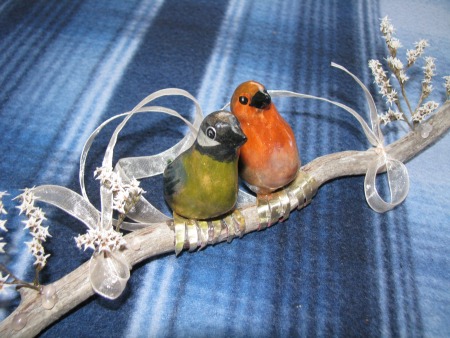 Lovebirds