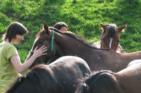 Adgor-Natural Horsemanship
