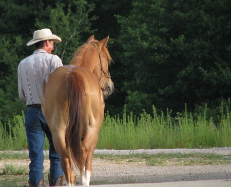 Adgor-Natural Horsemanship
